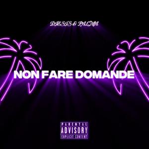 NON FARE DOMANDE (feat. Palma)
