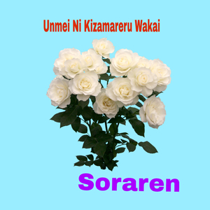 Unmei Ni Kizamareru Wakai