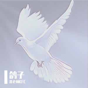 鸽子(幼稚园杀手)