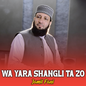 Wa Yara Shangli Ta Zo
