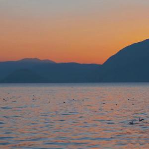 虚拟_陈粒_1625943418115