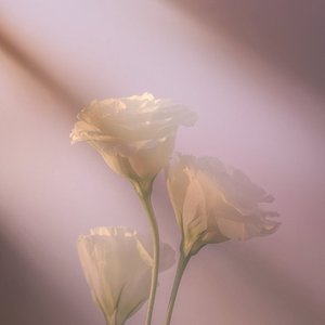 小雨Prod.Suzz