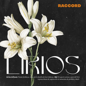Lirios