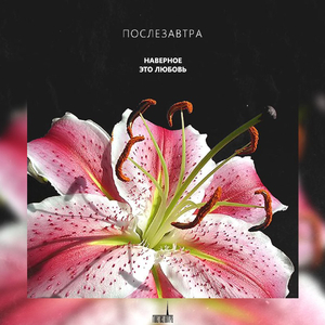 Наверное это любовь