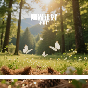 阳光正好