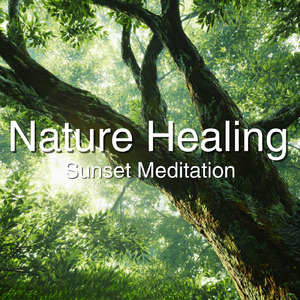 癒しのギターとα波効果 深い眠りに落ちる睡眠用ヒーリングbgm「セロトニン」で睡眠の質向上 (自律神経を整える睡眠用 森 鳥)