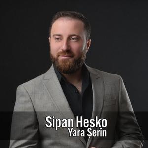 Yara Şerîn