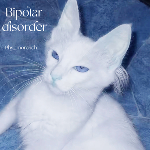 Bipolar disorder