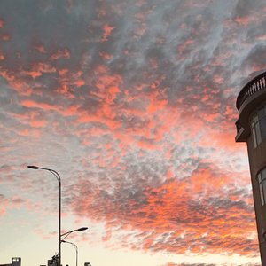 Sorry my love（bord by 10Ri/UNIVERSE 444）