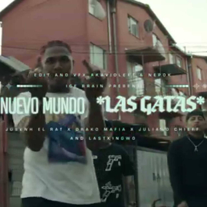 Las Gatas (feat. Drako Mafia, juliano chieff & lastkingwo)