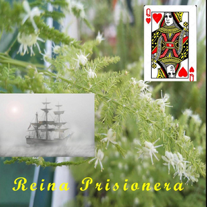 Reina prisionera