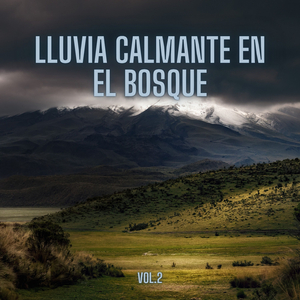 Bruma Calmada De La Noche