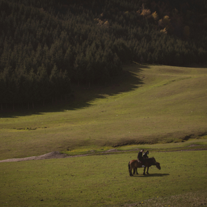 在加纳共和国离婚
