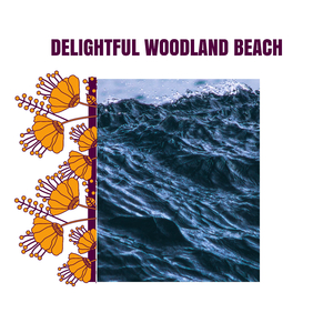 Delightful Woodland Beach