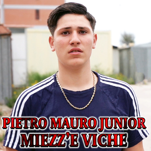 Miezz'e viche