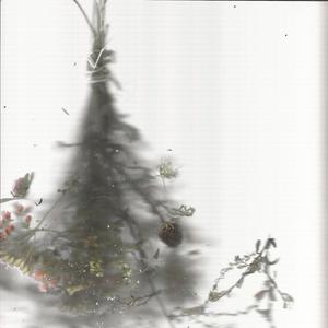 Insatiable Lust For The Destruction Of Love