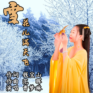 雪花儿满天飞