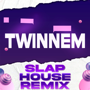 Twinnem (Slap House Remix)