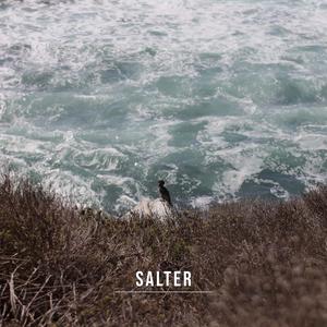 Salter