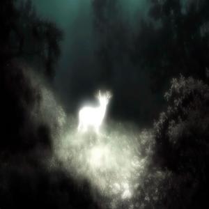 The summer of your death
