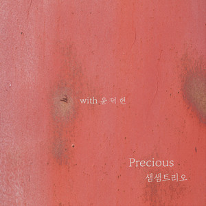 Precious (with 윤덕현)