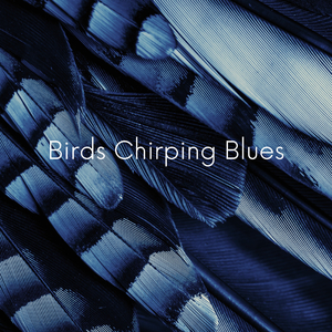 Birds Chirping