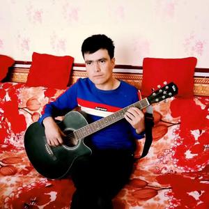 花儿为什么这样红