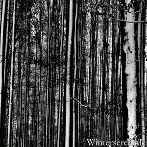 Winterserenade (Piano) (Acoustic)
