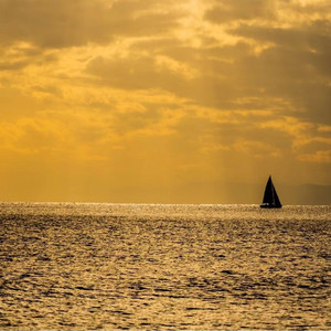 如果狐狸爱上蓝鲸