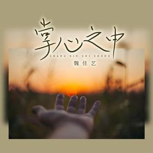 掌心之中 (DJ版)
