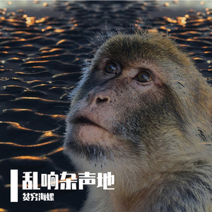 难知取舍