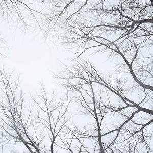 High Halls (from Hollow Knight: Silksong)