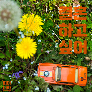 결혼 하고 싶어