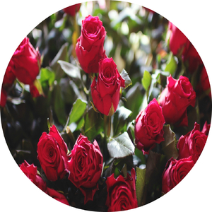 Poem For S (Original Mix)