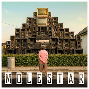 Molestar