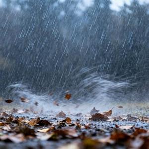风雨在一起 (Cover 陈瑞)