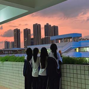 高中时光的悠扬回响