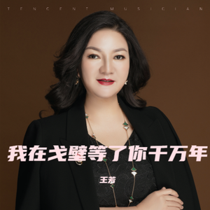 我在戈壁等了你千万年 伴奏
