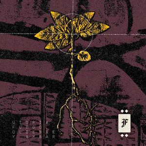 Fuego, quiebre y ambar