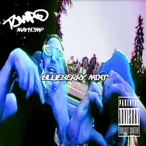 Blueberry Mint (feat. May Hemp)