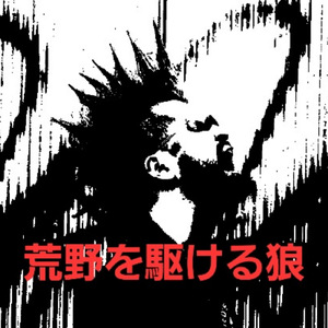 荒野を駆ける狼