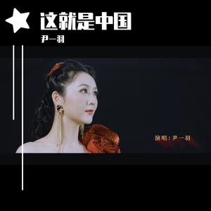 这就是中国 伴奏