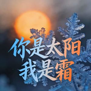 你是太阳我是霜
