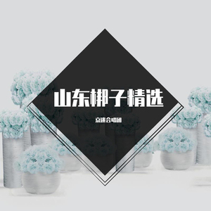 大调曲子-赶舟 (山东梆子)