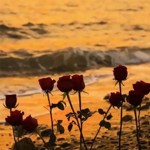 Soul (Prod EVOMUSIC)