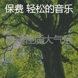抚慰的睡眠回忆