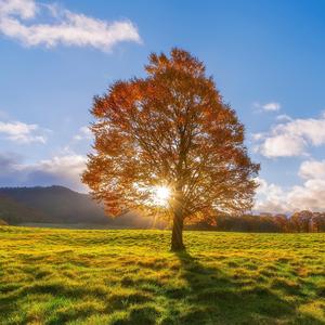 Toamna sufletului meu (feat. Nora O Tara)