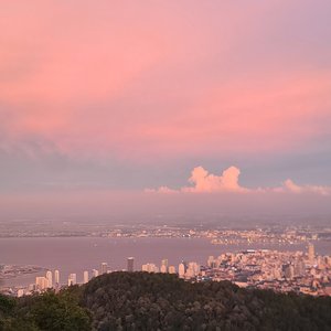 祈尔繁芜胜常春