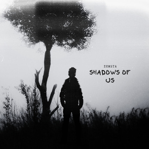 Shadows of Us
