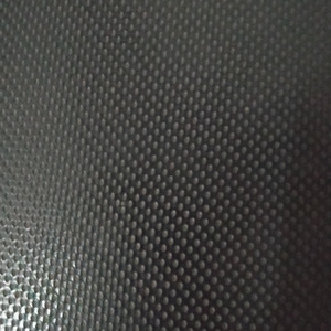 Dibuka Dong